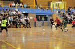 20101003_150