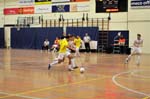 20101008_173