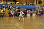 20110513_248