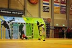 20110524_382