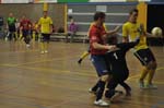_FRH2016