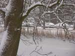 03022005_014_high