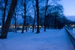 _DSC9544