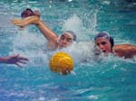 11152003_406_bew_comp