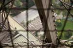 09272007_040