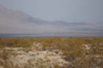 0462_DSC00726
