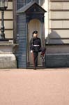 0037_PICT0726