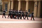 0323_PICT1012