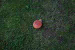 Vakantie_Italie_2010_0012