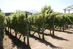 Vakantie_Italie_2010_0160
