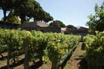 Vakantie_Italie_2010_0163