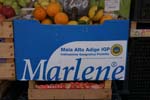 Vakantie_Italie_2010_0255