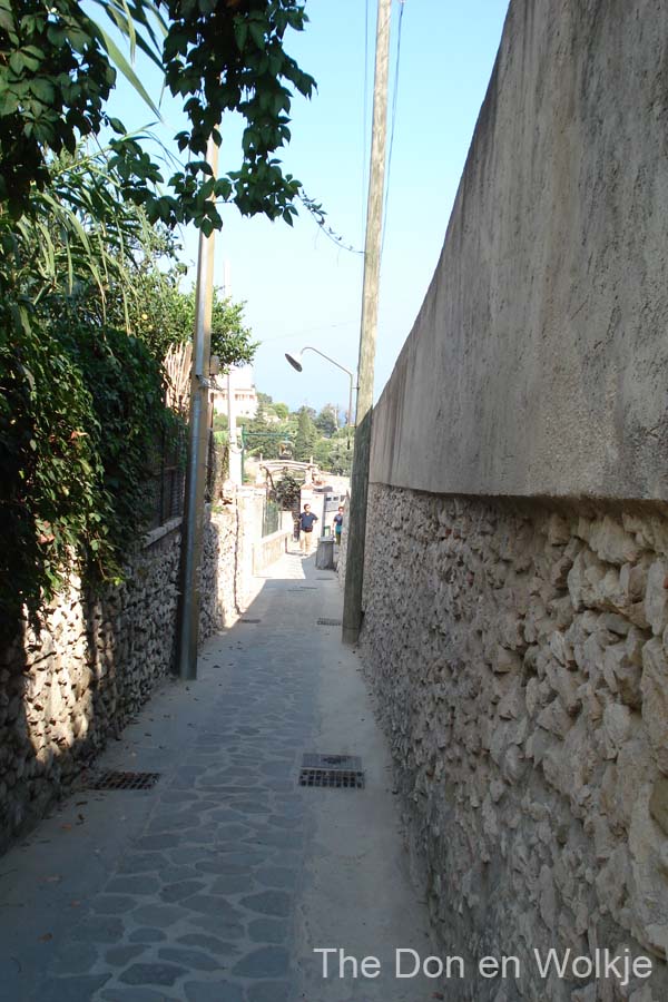 DSC02550