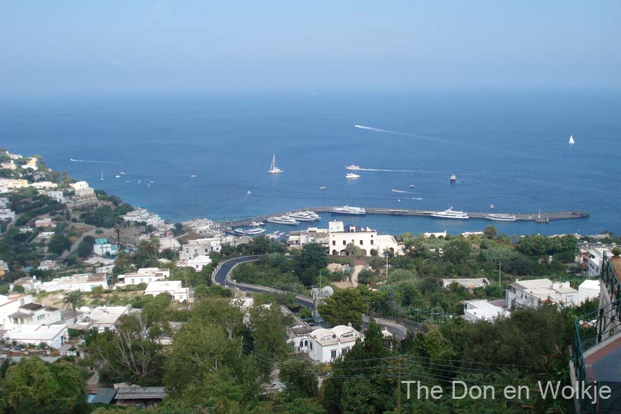 DSC02557
