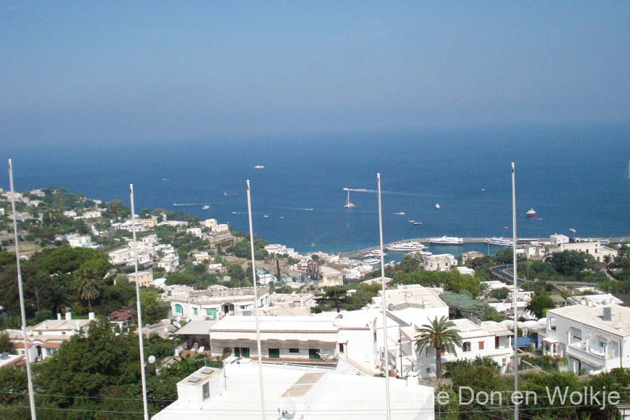 DSC02561