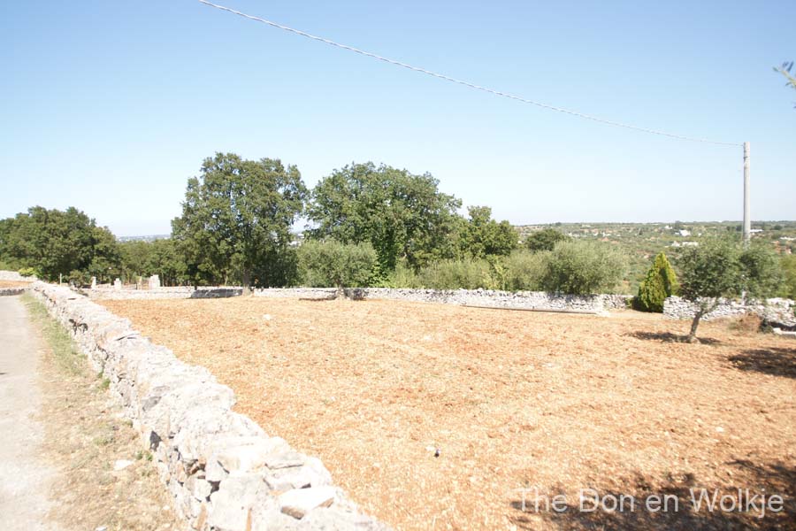 DSC05120