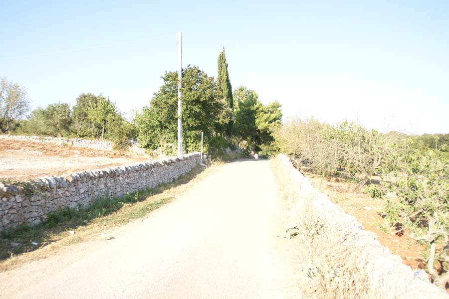 DSC05149