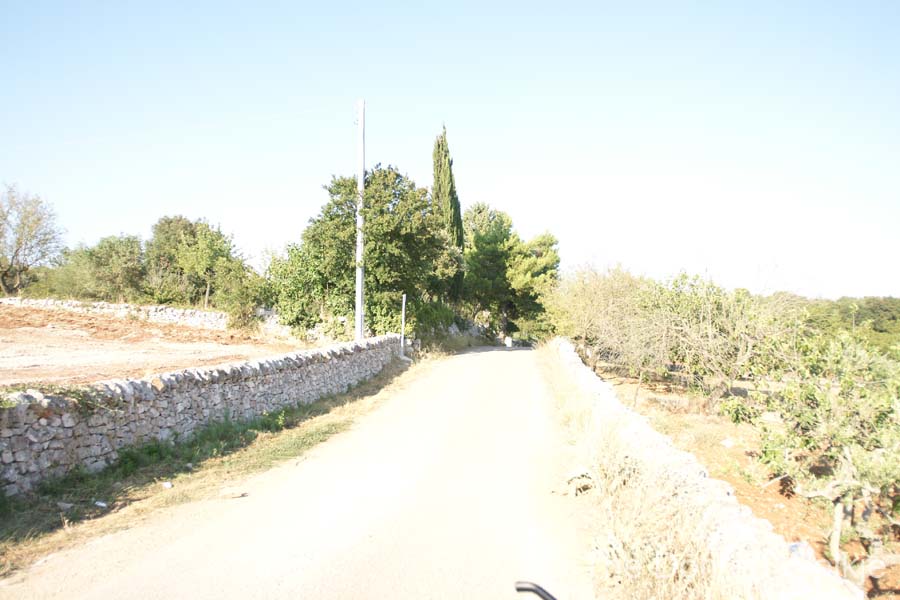 DSC05150