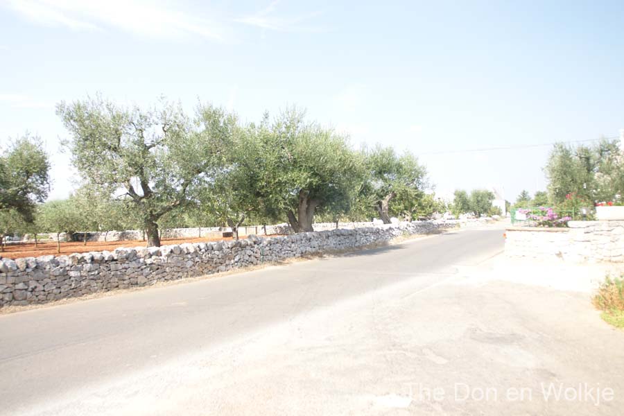 DSC05217
