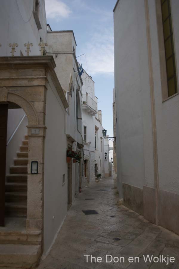 DSC05245