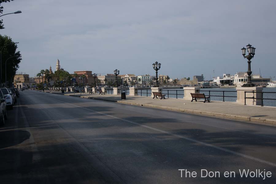 DSC05290