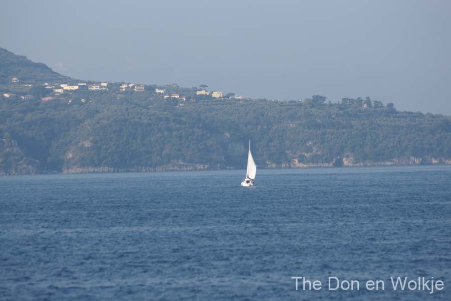 DSC05378