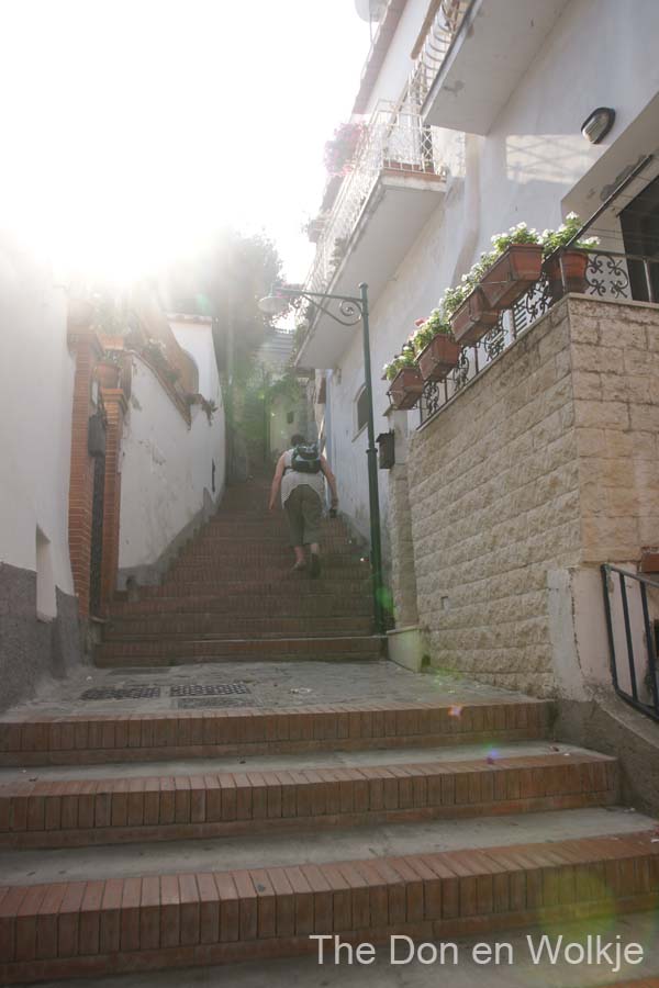 DSC05418
