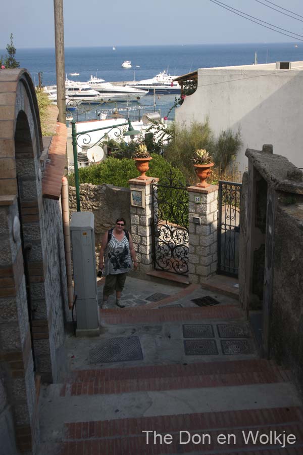 DSC05419