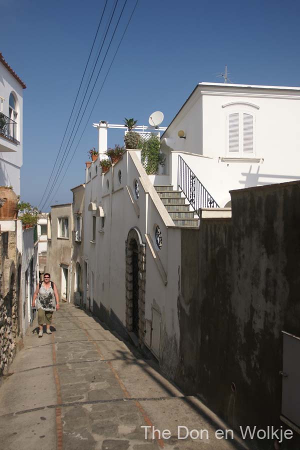 DSC05431