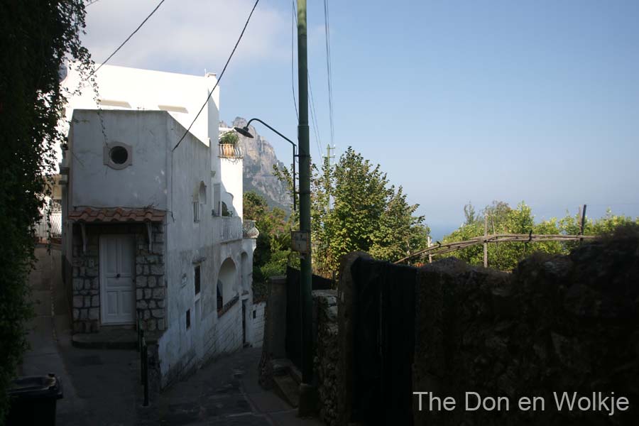 DSC05432