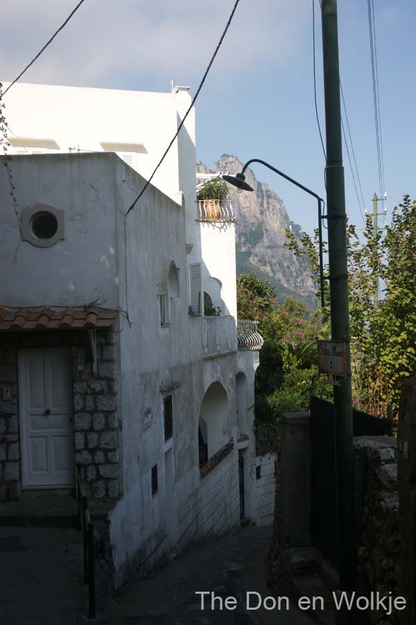 DSC05433