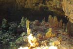 DSC02528
