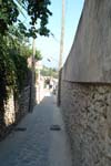 DSC02550