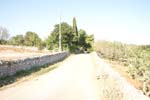 DSC05149