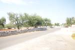 DSC05217