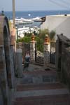 DSC05419