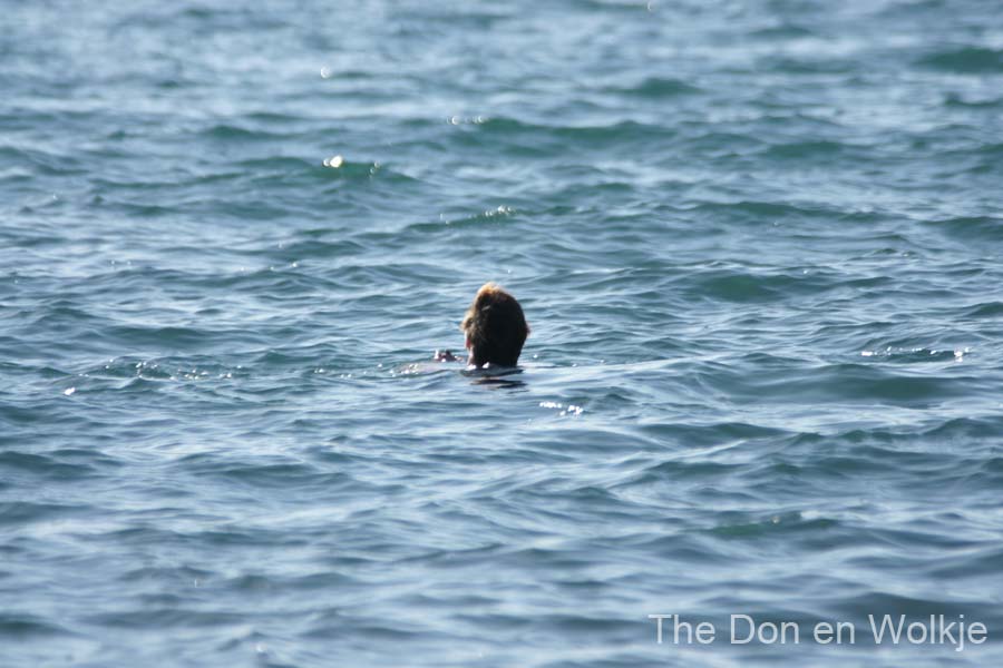 Vakantie_2012_Ialie_0077