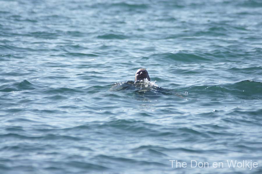 Vakantie_2012_Ialie_0081