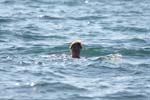 Vakantie_2012_Ialie_0074