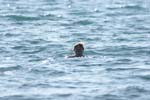 Vakantie_2012_Ialie_0075