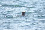 Vakantie_2012_Ialie_0076