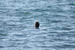 Vakantie_2012_Ialie_0077