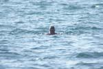 Vakantie_2012_Ialie_0079