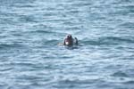 Vakantie_2012_Ialie_0080