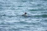 Vakantie_2012_Ialie_0081