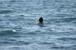 Vakantie_2012_Ialie_0082
