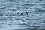 Vakantie_2012_Ialie_0083