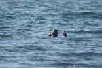 Vakantie_2012_Ialie_0085