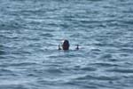 Vakantie_2012_Ialie_0086