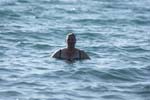 Vakantie_2012_Ialie_0087